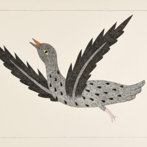 Original Mary Pudlat Drawing (Exuberant Bird)