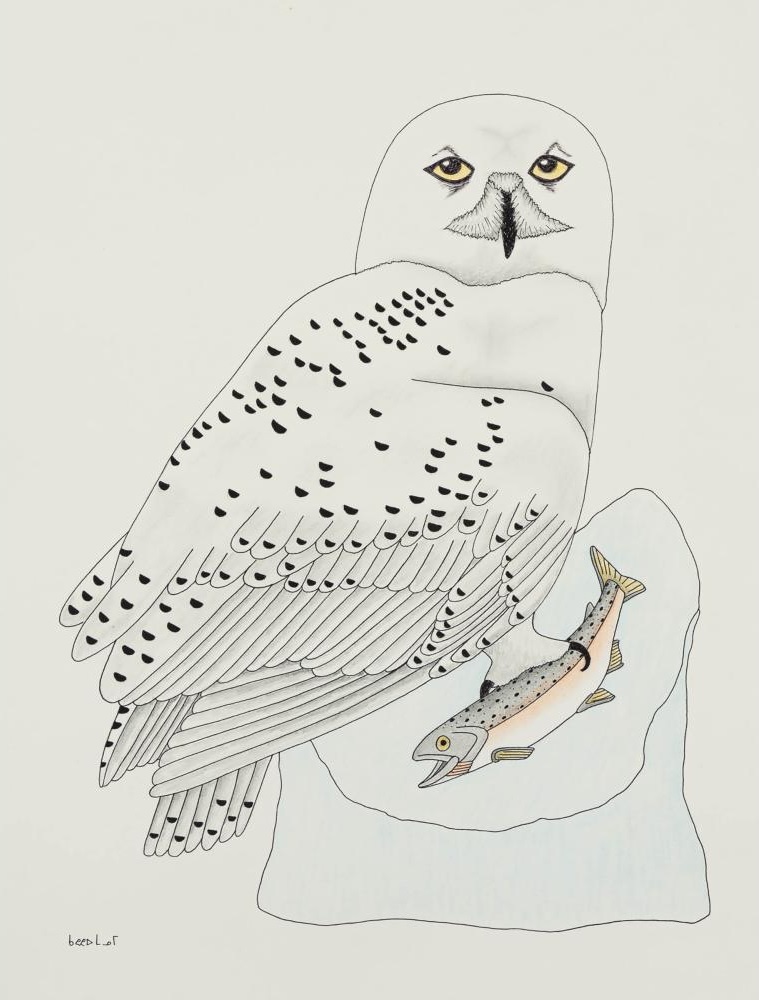 Qavavau Manumie Original Drawing -Snowy Owl w/ Fish